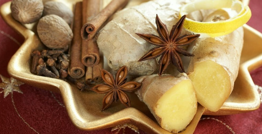 Les Bienfaits des Ingrédients Naturels Aphrodisiaques de "10 Vitesses"