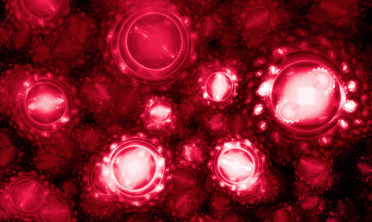 La Science derrière 10 Vitesses: Comment Nos Produits Naturels Augmentent les Globules Rouges